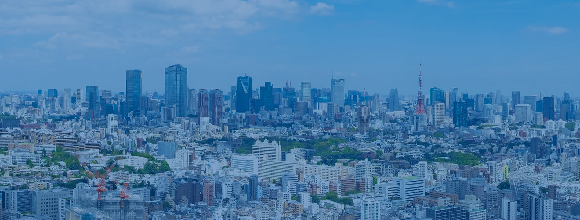 働くオフィス街が並ぶ風景